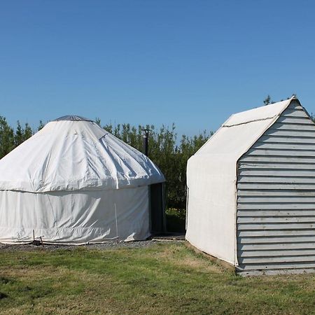 Mill Haven Place Glamping Yurt 3 Haverfordwest Buitenkant foto