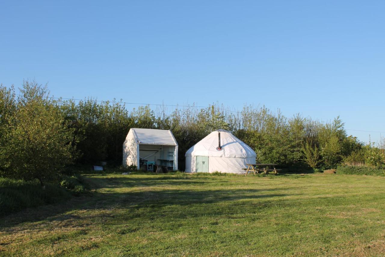 Mill Haven Place Glamping Yurt 3 Haverfordwest Buitenkant foto