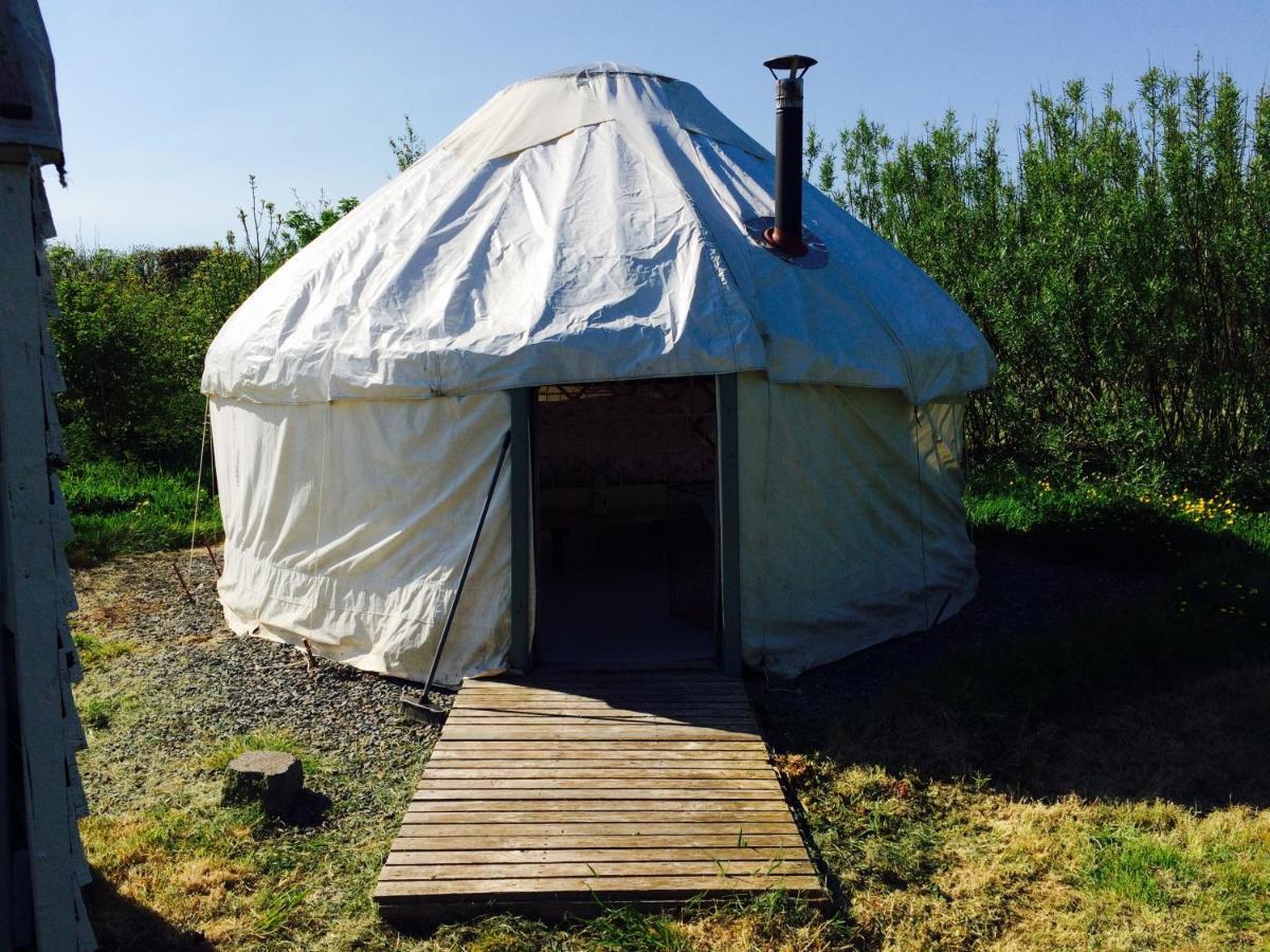 Mill Haven Place Glamping Yurt 3 Haverfordwest Buitenkant foto