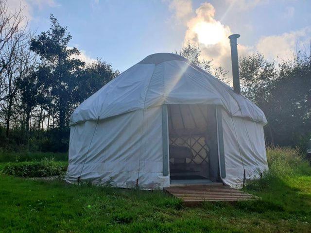 Mill Haven Place Glamping Yurt 3 Haverfordwest Buitenkant foto