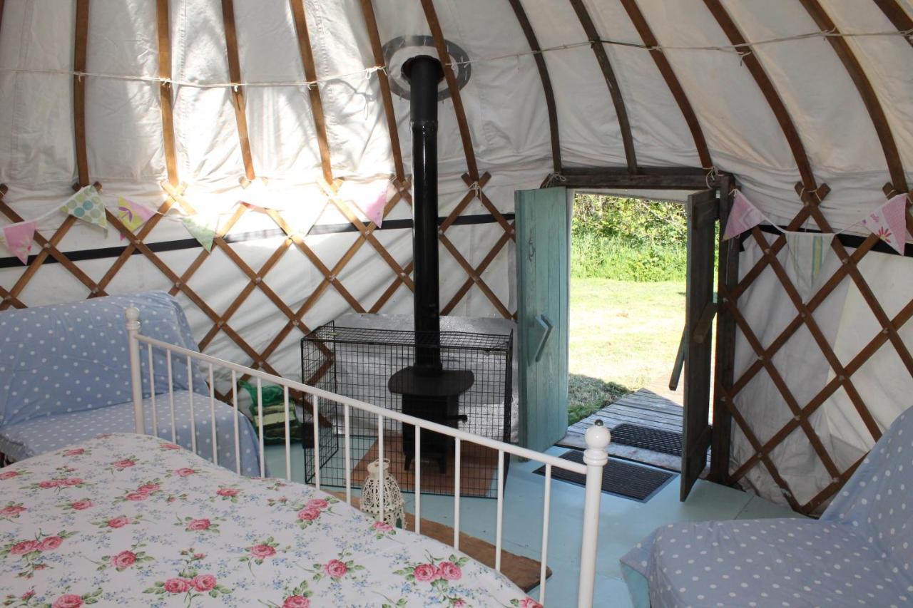 Mill Haven Place Glamping Yurt 3 Haverfordwest Buitenkant foto