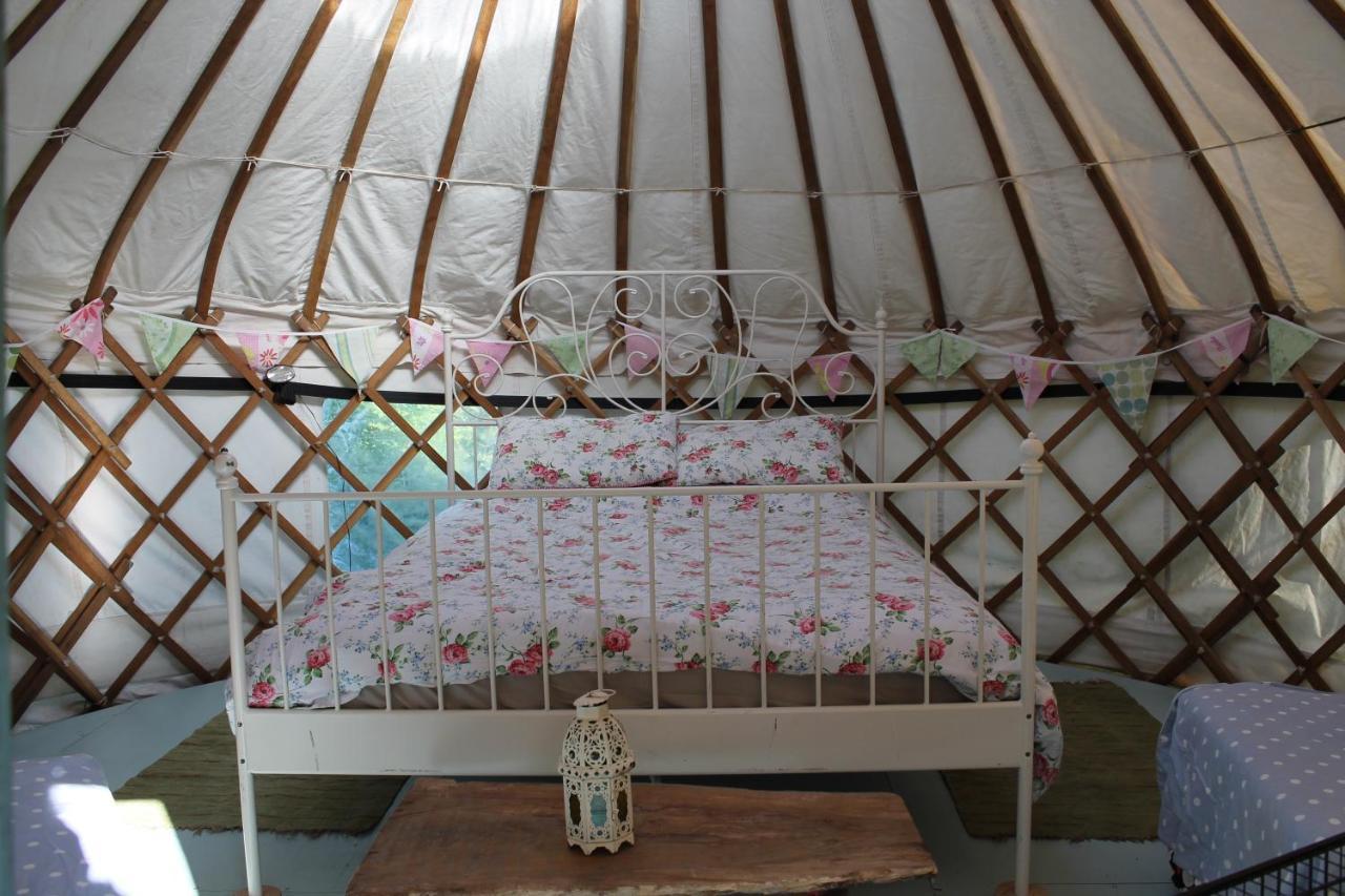 Mill Haven Place Glamping Yurt 3 Haverfordwest Buitenkant foto